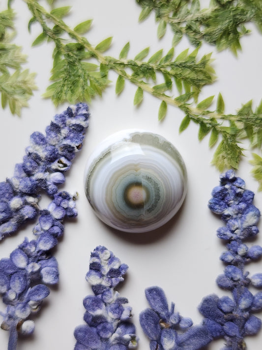 Ocean jasper