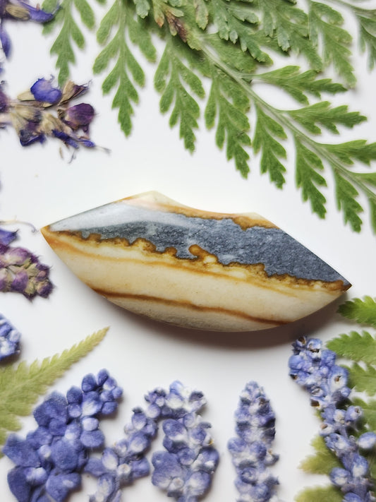 Starry night picture jasper