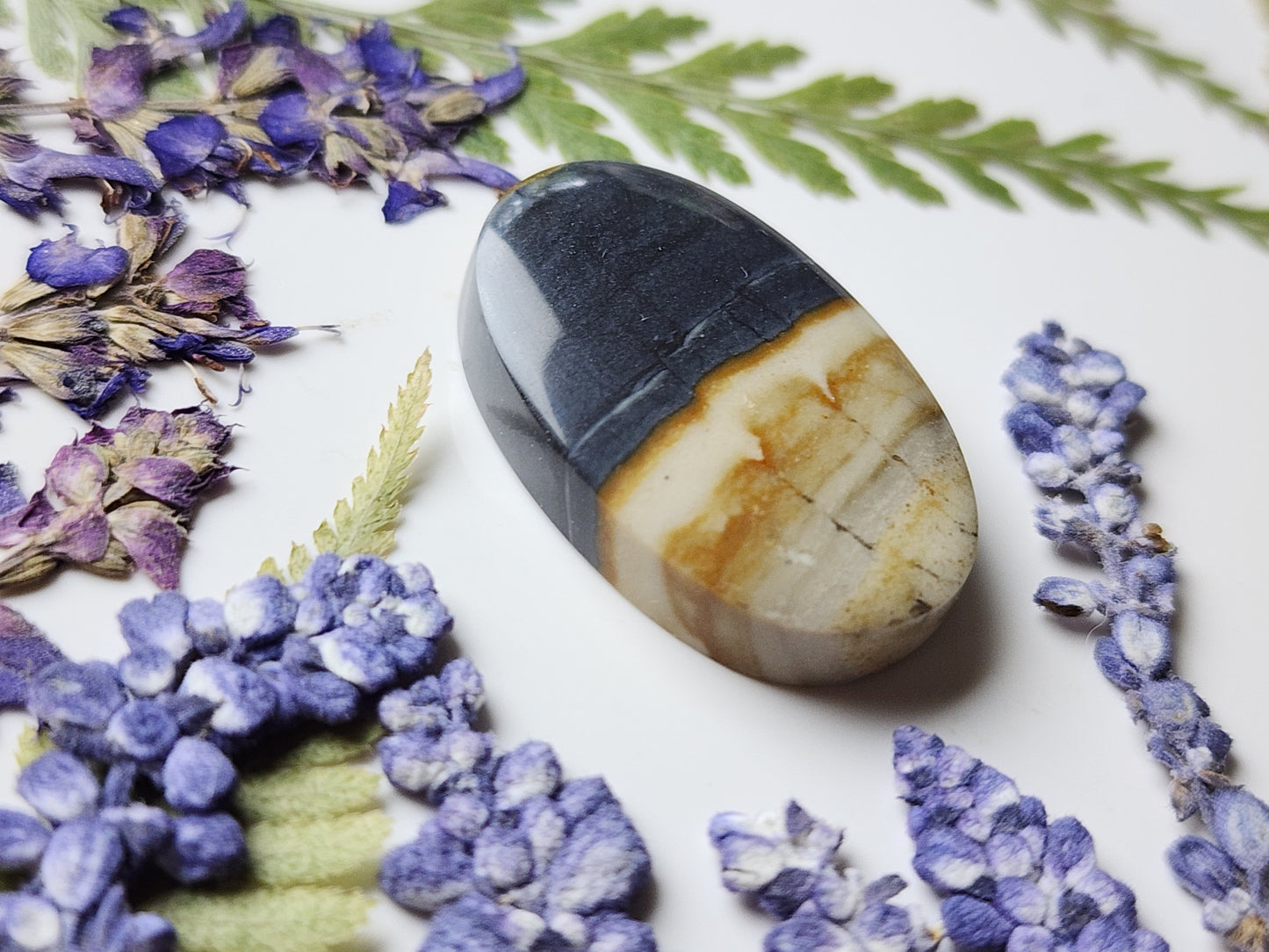 McDermitt picture jasper
