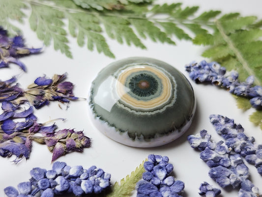 Ocean jasper