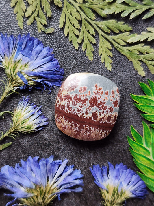 Sonoran Dendritic Rhyolite