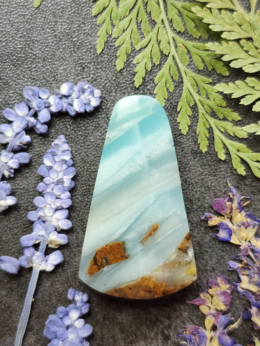 BC Ocean Picture Stone