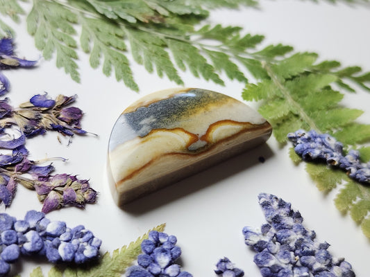 Starry night picture jasper