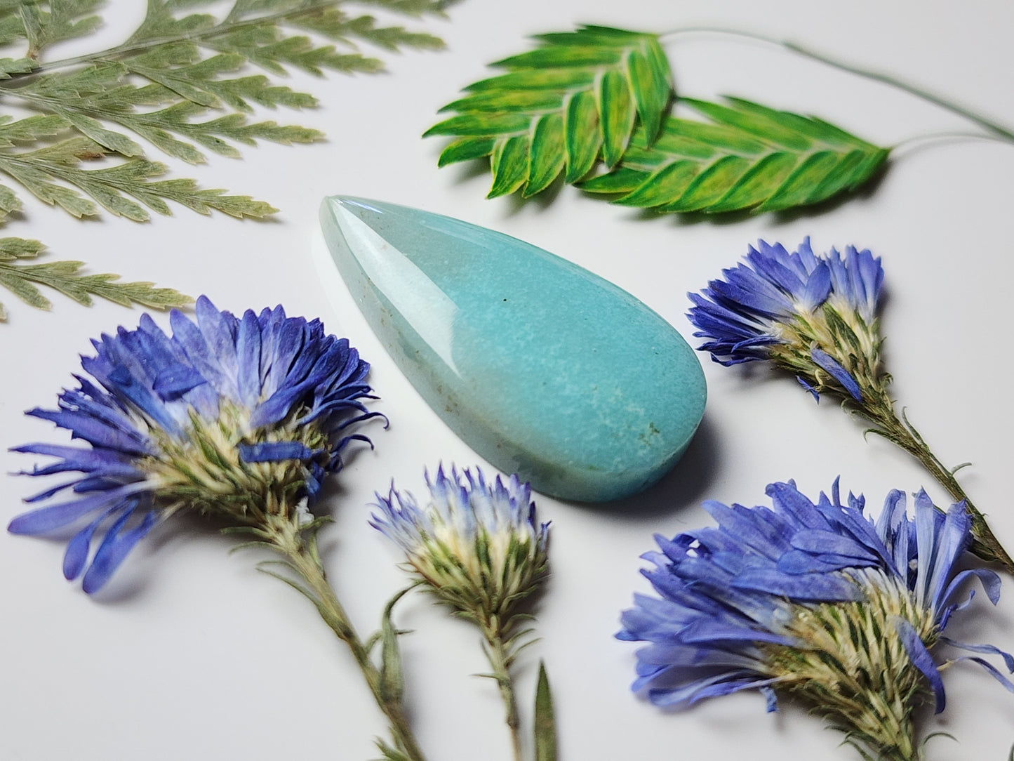 Petrified Blue opalized wood