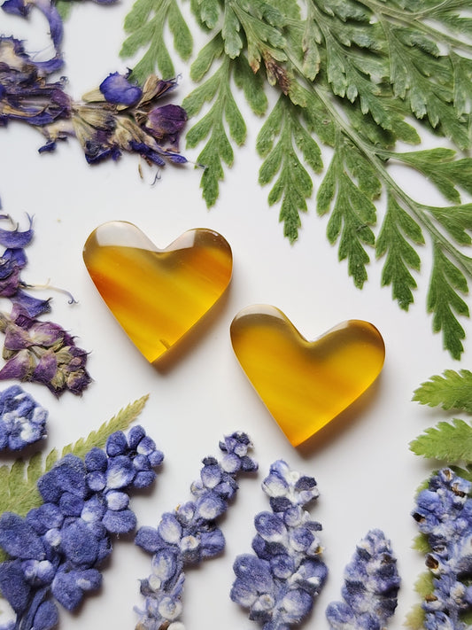 Montana agate heart pair