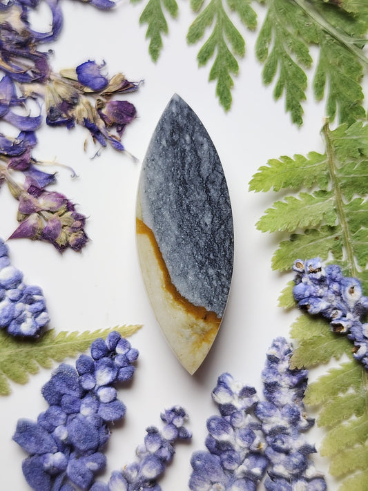 Starry night picture jasper