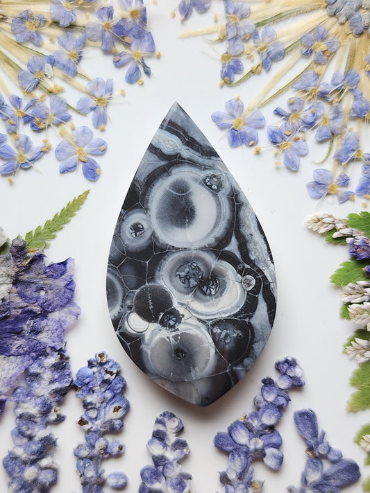 Galaxy Rhyolite
