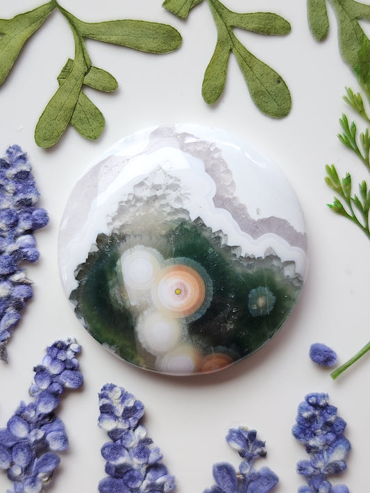 Ocean jasper