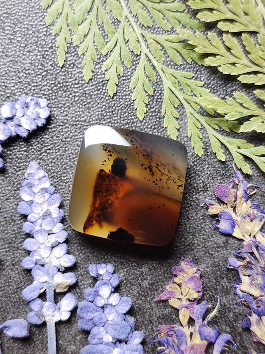 Montana agate