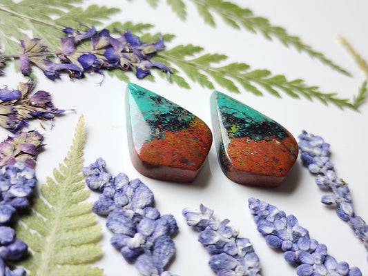 Sonora Sunrise pair
