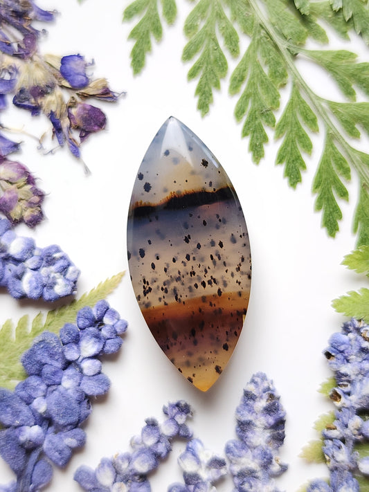 Montana agate