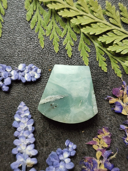 BC Ocean Picture Stone