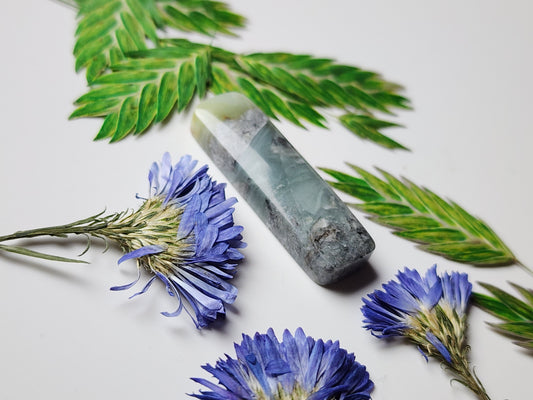 BC Ocean Picture stone