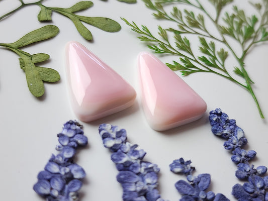 Pink Conch shell pair