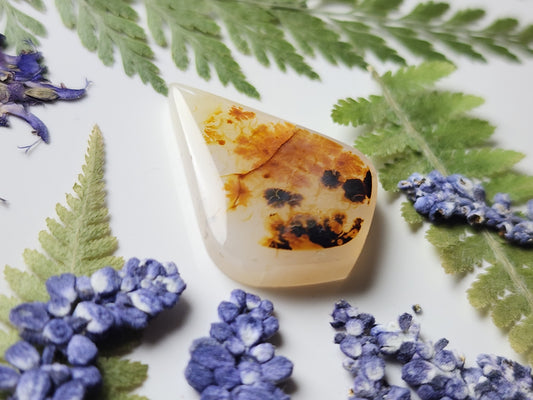 Montana agate