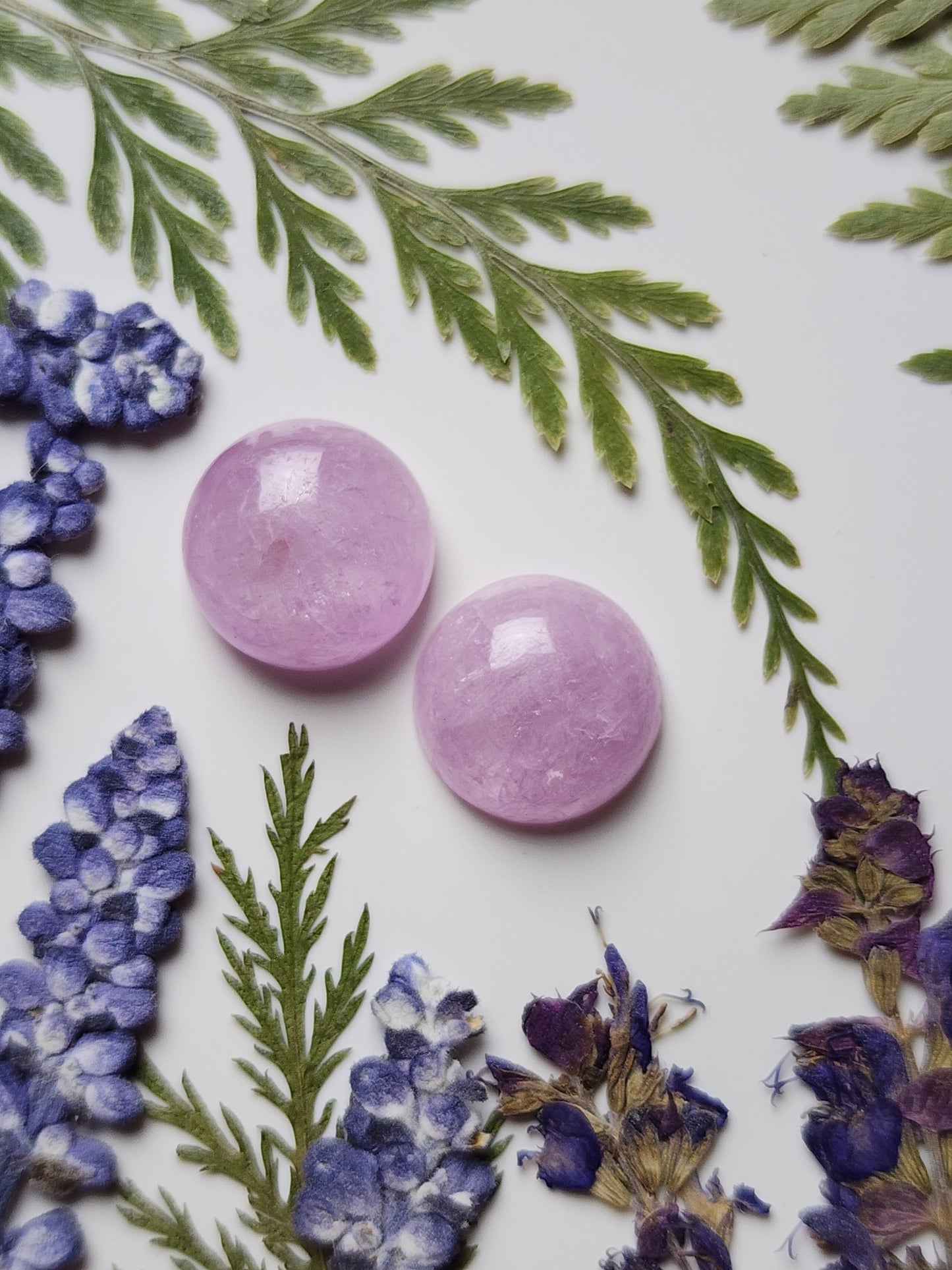 Lavender Kunzite pair