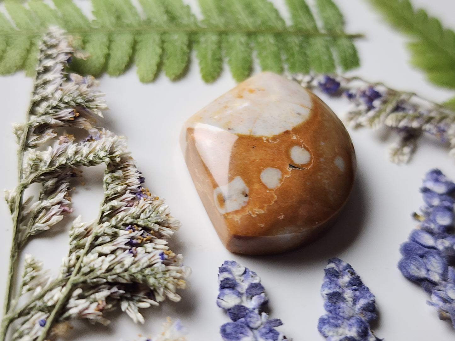 Spotted Fawn jasper