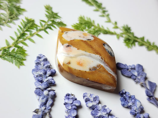 Spotted Fawn jasper
