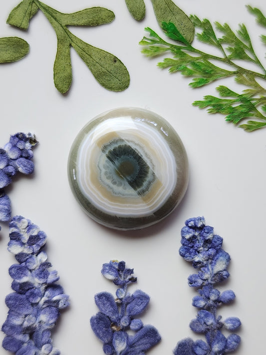 Ocean jasper