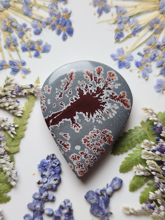 Sonoran Dendritic Rhyolite