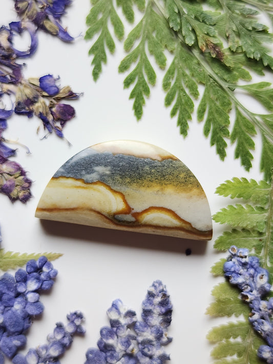 Starry night picture jasper