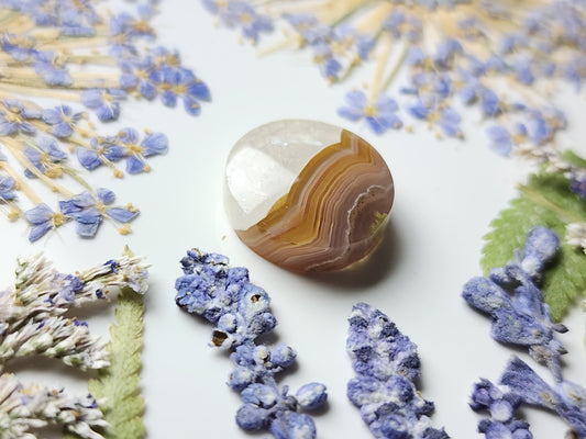 Agua Nueva agate