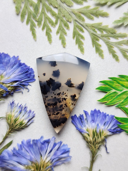 Montana agate