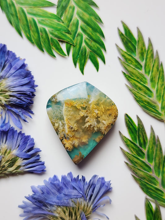 Bella Vista plume agate Doublet