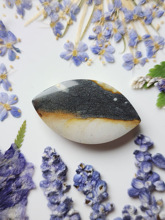 Starry night picture jasper