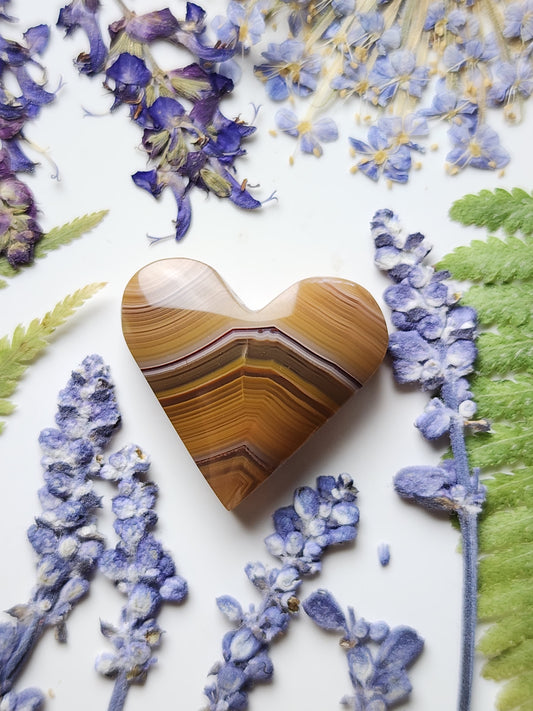 Agua Nueva agate heart