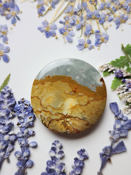 Rocky Butte picture jasper