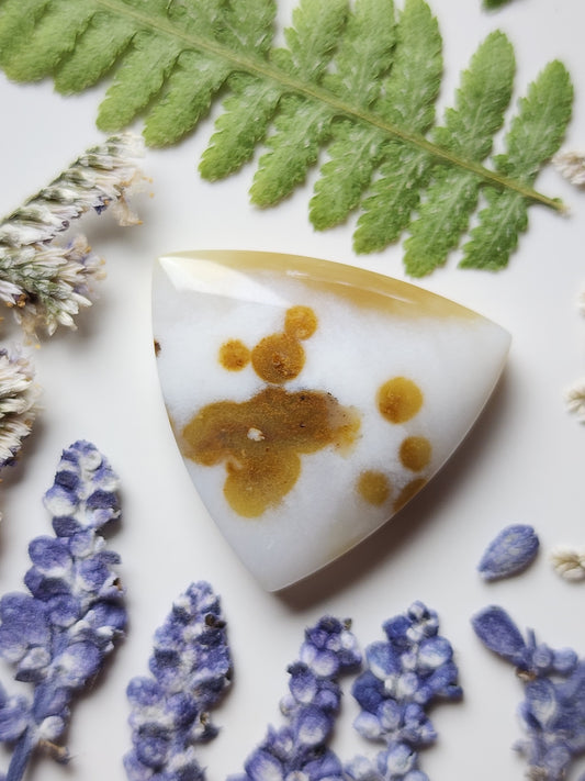 Polka dot agate