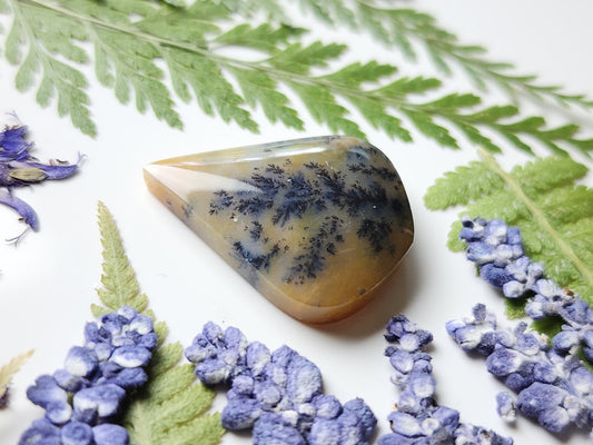 Dendritic agate