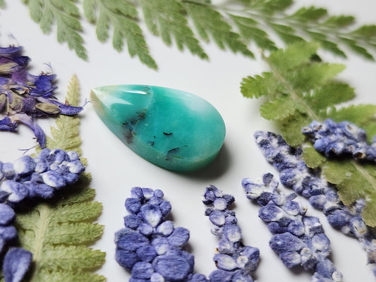 Petrified Blue opalized wood
