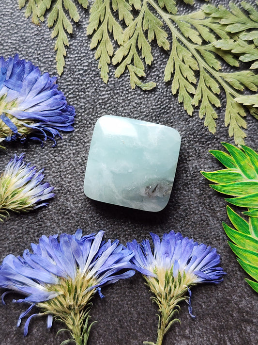 BC Ocean picture stone