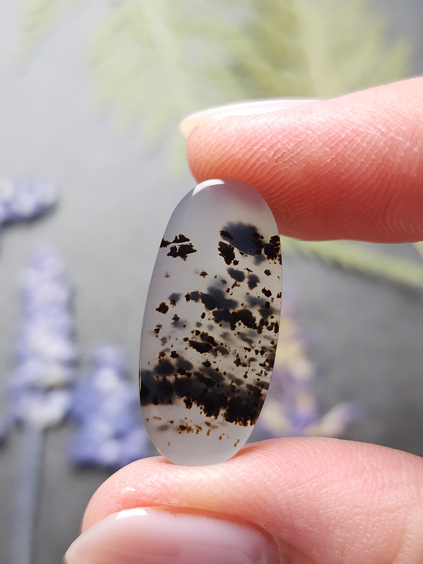 Montana agate