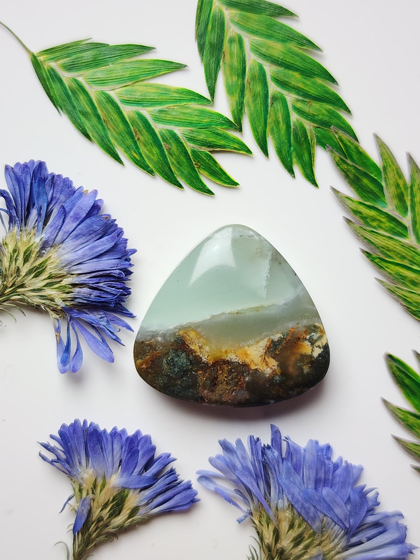 BC Ocean picture stone