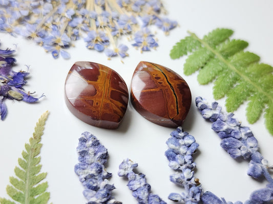 Noreena jasper pair