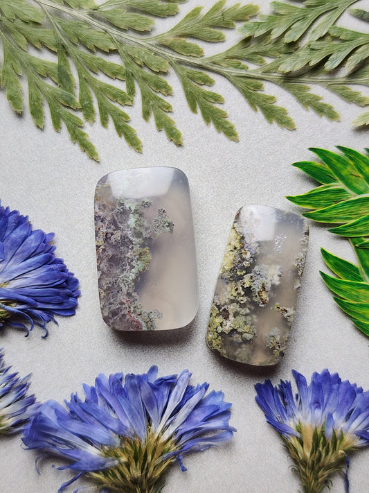 Garden Moss agate Duo