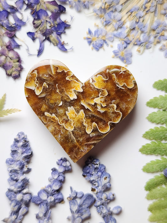 Suture Ammonite heart