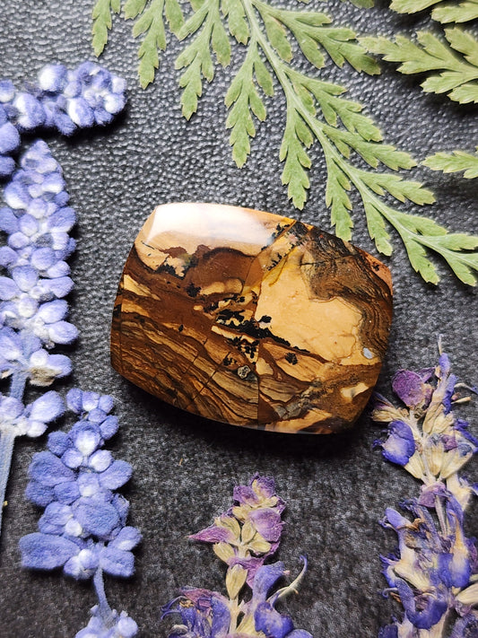 Biggs jasper