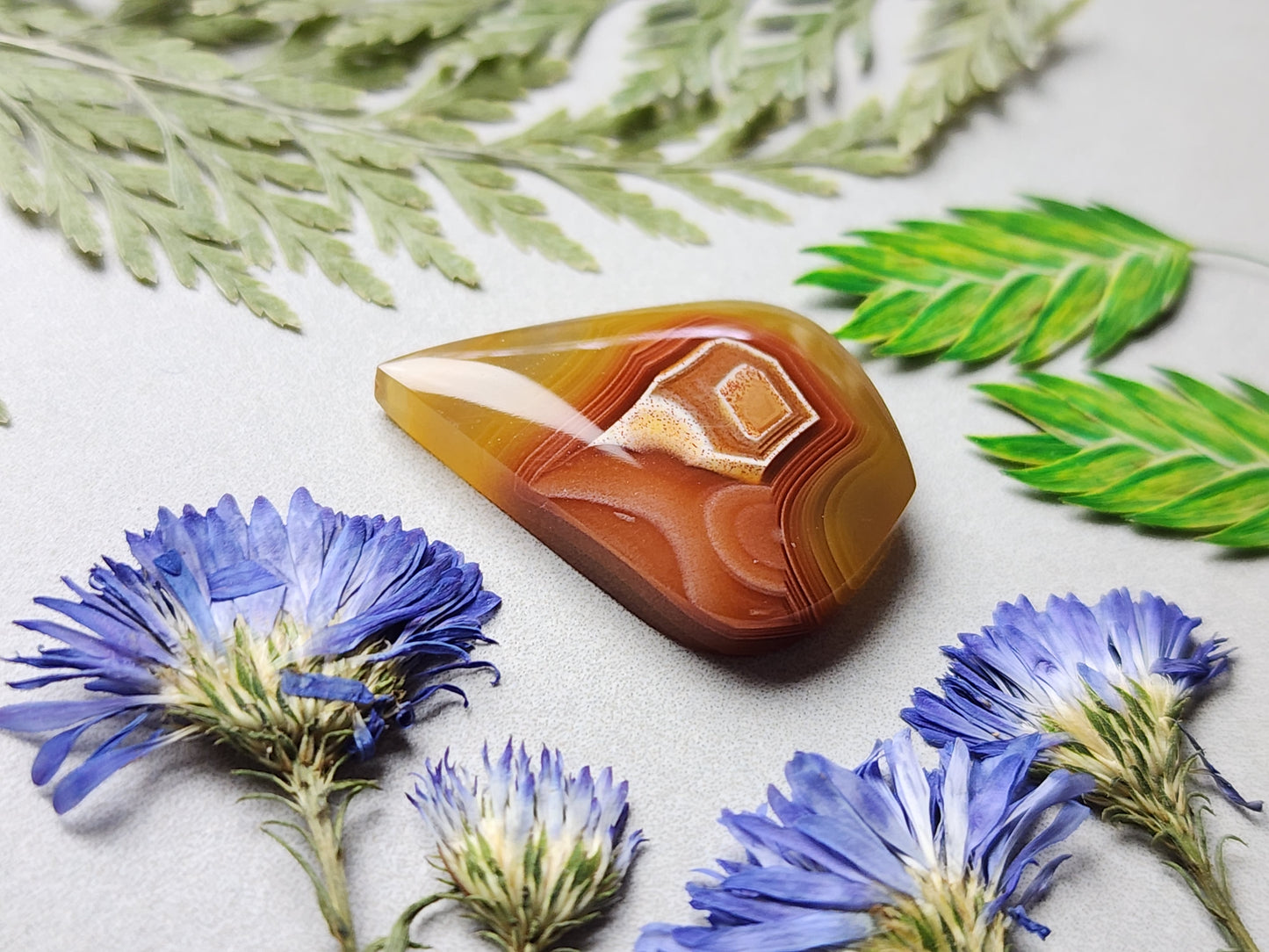 Agua Nueva agate
