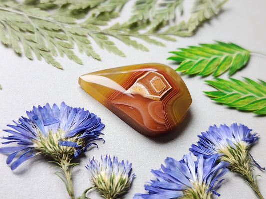 Agua Nueva agate