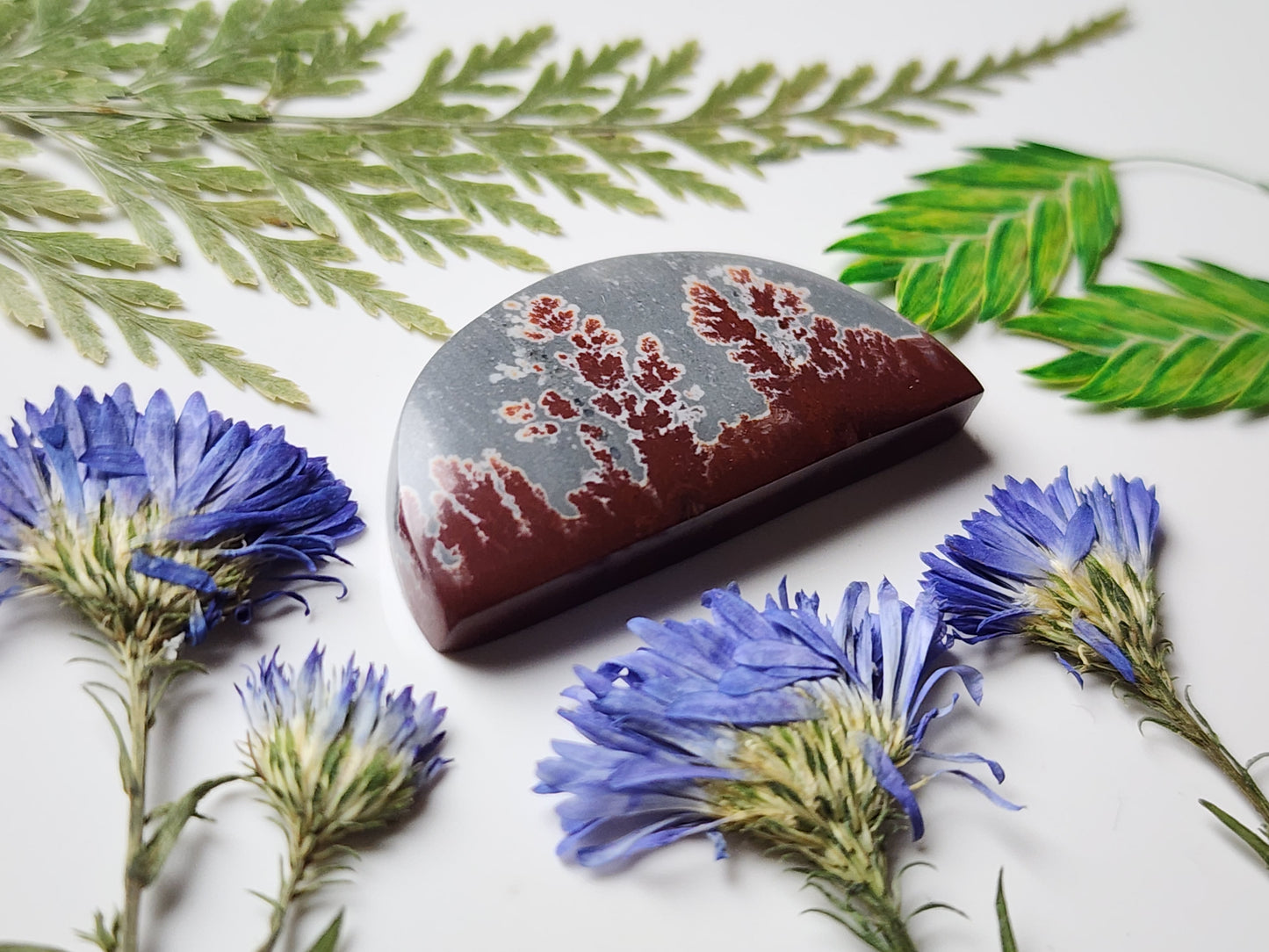 Sonoran Dendritic Rhyolite