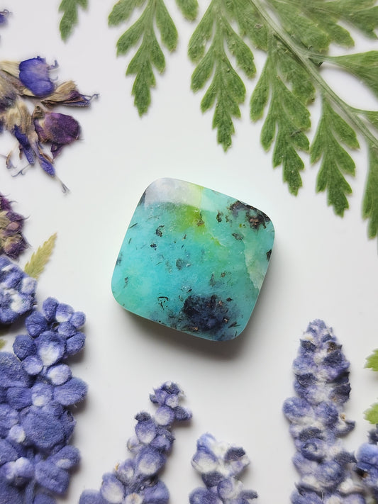 Petrified Blue opalized wood