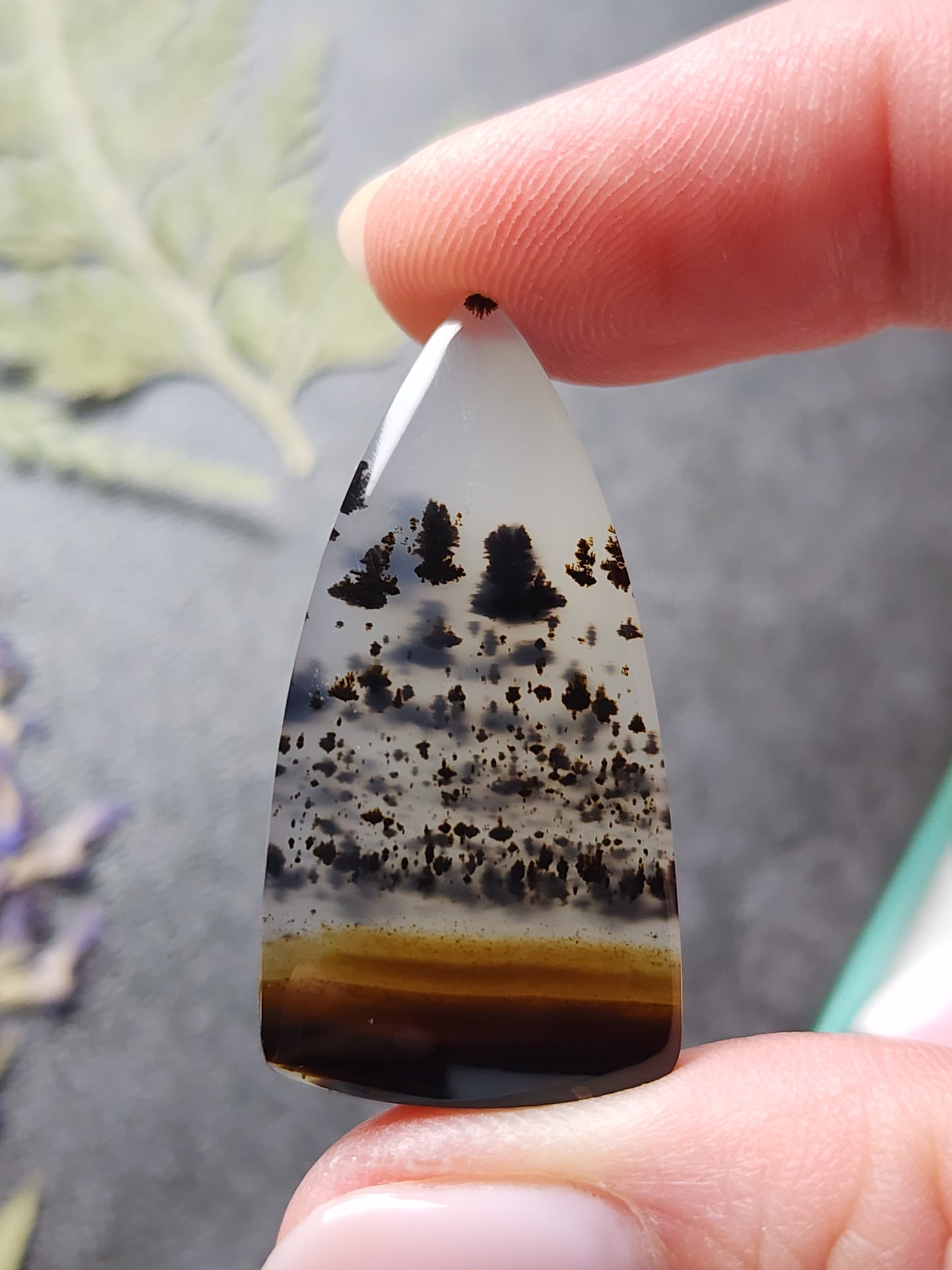 Montana agate