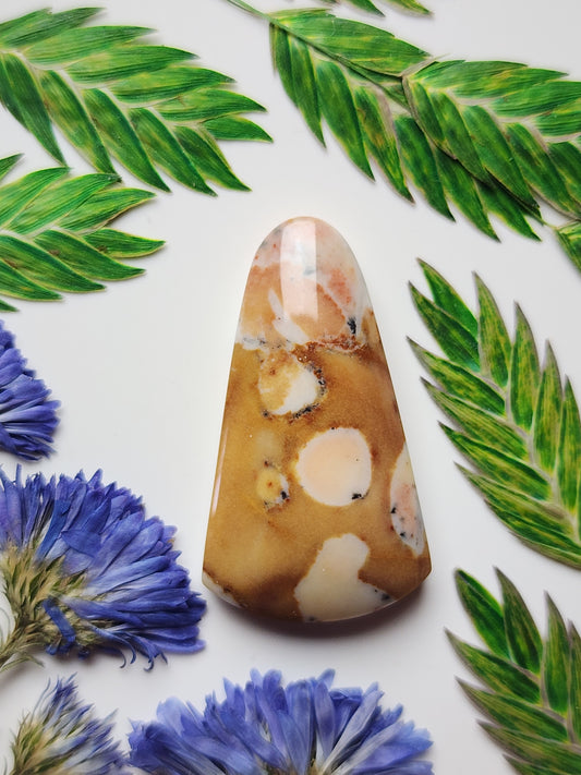 Spotted Fawn jasper