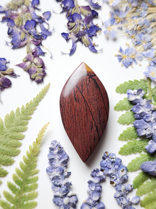 Indian paint stone