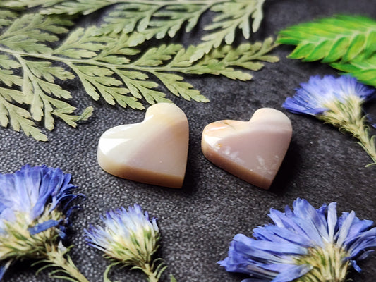 Polychrome jasper heart pair