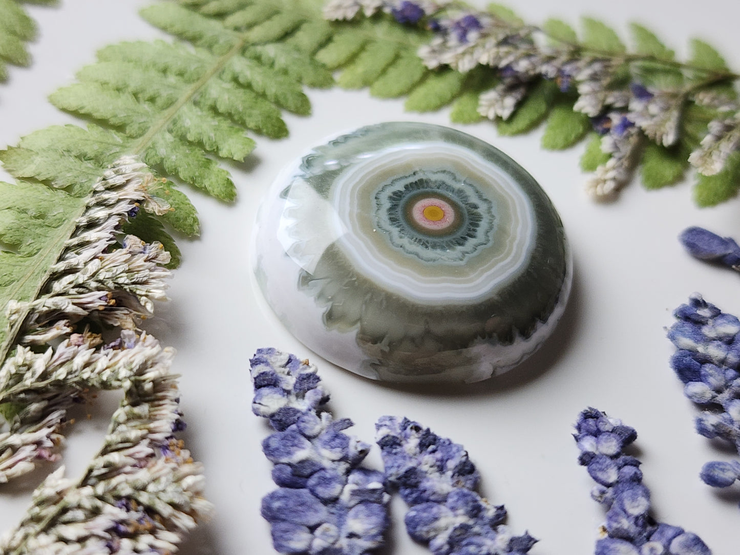 Ocean jasper
